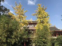 -成都市文殊院