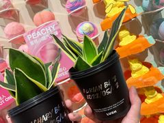 -LUSH(威尼斯人店)