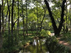 -西溪南古村落