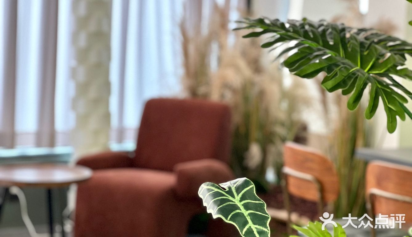 顺德大良探店｜U Ready山脚下咖啡店～