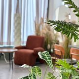 顺德大良探店｜U Ready山脚下咖啡店～