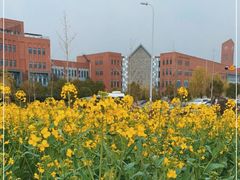 -上海德威外籍人员子女学校(浦西校区)