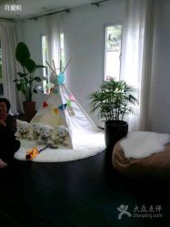 开心贝贝儿童摄影-开心贝贝儿童摄影(紫晶广场店)