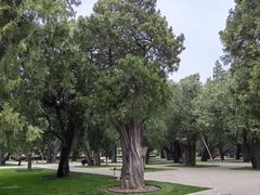 -北京市劳动人民文化宫(太庙)