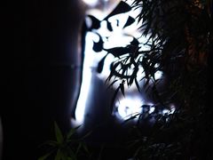 -Joy酒隐(西湖店)