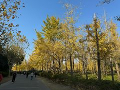 -黄兴公园