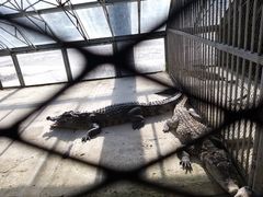 -秦皇岛野生动物园