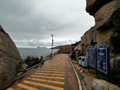 -广东惠东海龟国家级自然保护区