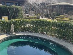 -大连金石滩绿发温泉假日酒店