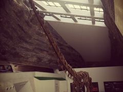 -中华赏石园