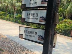 -宋井风景区