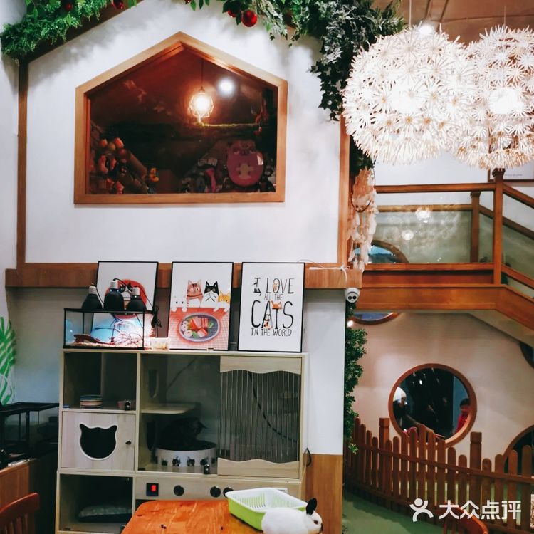 萌化宝宝们的小动物一定要来看看啊[加油]