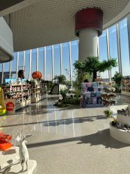 -IMON·HANSA潮玩玩偶毛绒玩具(通州万象汇店)