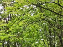 -宜兴龙背山森林公园