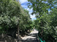 -白水寺森林公园