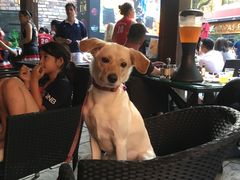 -Big Bamboo 大竹子体育主题餐厅(虹梅路店)