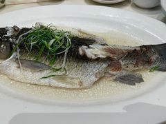 -稻香酒家·34年老字号·港式粤菜(侨光店)