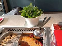 -海底捞大排档火锅(悦荟广场店)