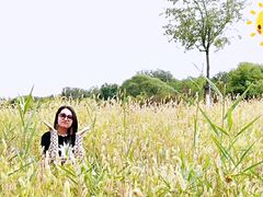 -永定河休闲森林公园