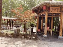 -合肥滨湖国家森林公园