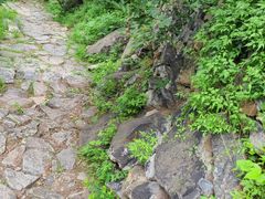 -北京鹫峰国家森林公园