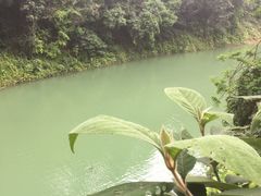 -广州市流溪河国家森林公园