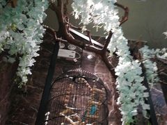 -雀蓝川菜(奥体广场店)