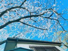 -成都濑川外国语学校