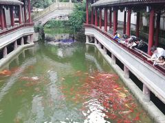 -龙潭水乡