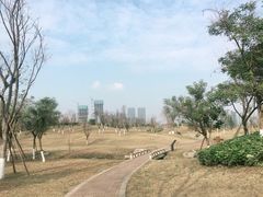 -桂溪生态公园