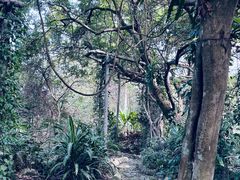 -广西壮族自治区药用植物园