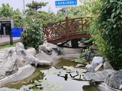 -蘇河湾·新鲁菜·泰山宴(泰山店)