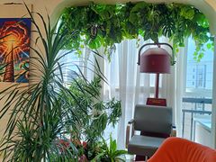 -瑶舍头疗·瑶浴·芳香热石SPA(五洲国际店)