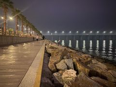 -宝安西湾红树林湿地公园