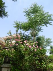 -TWOFACE 双面理发馆