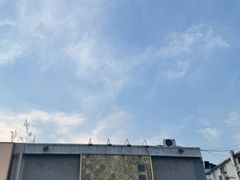 -活潑鲜跳(湖滨商业街店)