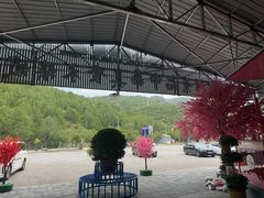 -小赖鱼馆