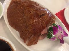 -九花山烤鸭店