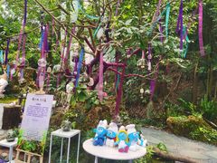 -深圳仙湖植物园