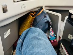 -海南海航航空信息系统公司