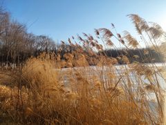 -大兴滨河森林公园