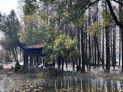 -东湖落雁景区