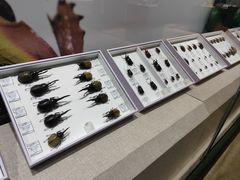 -烟台市博物馆