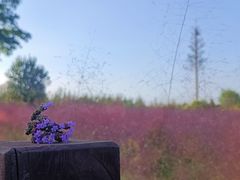 -汉长安城未央宫国家考古遗址公园