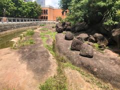 -广州七星岗古海岸遗址科学公园