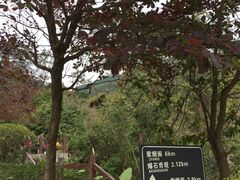 -清溪森林公园
