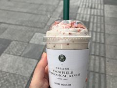 -茉酸奶(春熙路店)