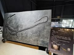 -中华赏石园