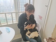 -Let's go狗咖·猫咖·奶狗·桌游(春熙路IFS店)