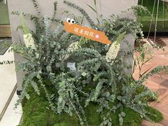 -潮一不贰·法式甜品·生日蛋糕·西式简餐(外滩店)